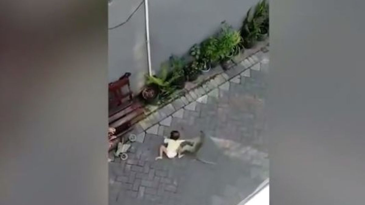 Отвличане на дете от маймуна бе запечатано на ВИДЕО