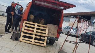 Безумие в Пловдив! Вижте какво измислиха празните цигански кратуни СНИМКИ