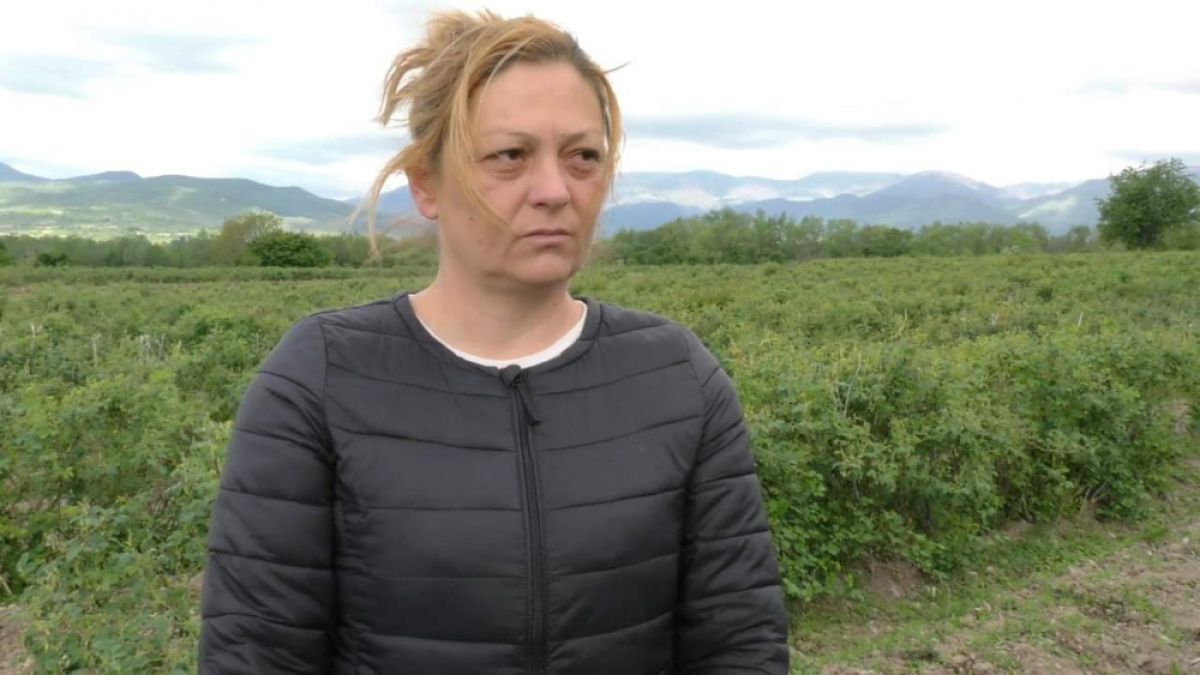 БЛИЦ TV: COVID-19 ли е причината тези производители да са на прага на фалита?