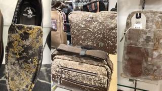Отвратителни СНИМКИ показаха какво се случва след два месеца карантина 