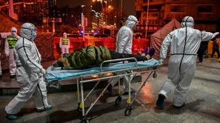 Еколог каза откъде ще дойде следващата глобална и смъртоносна вирусна епидемия 