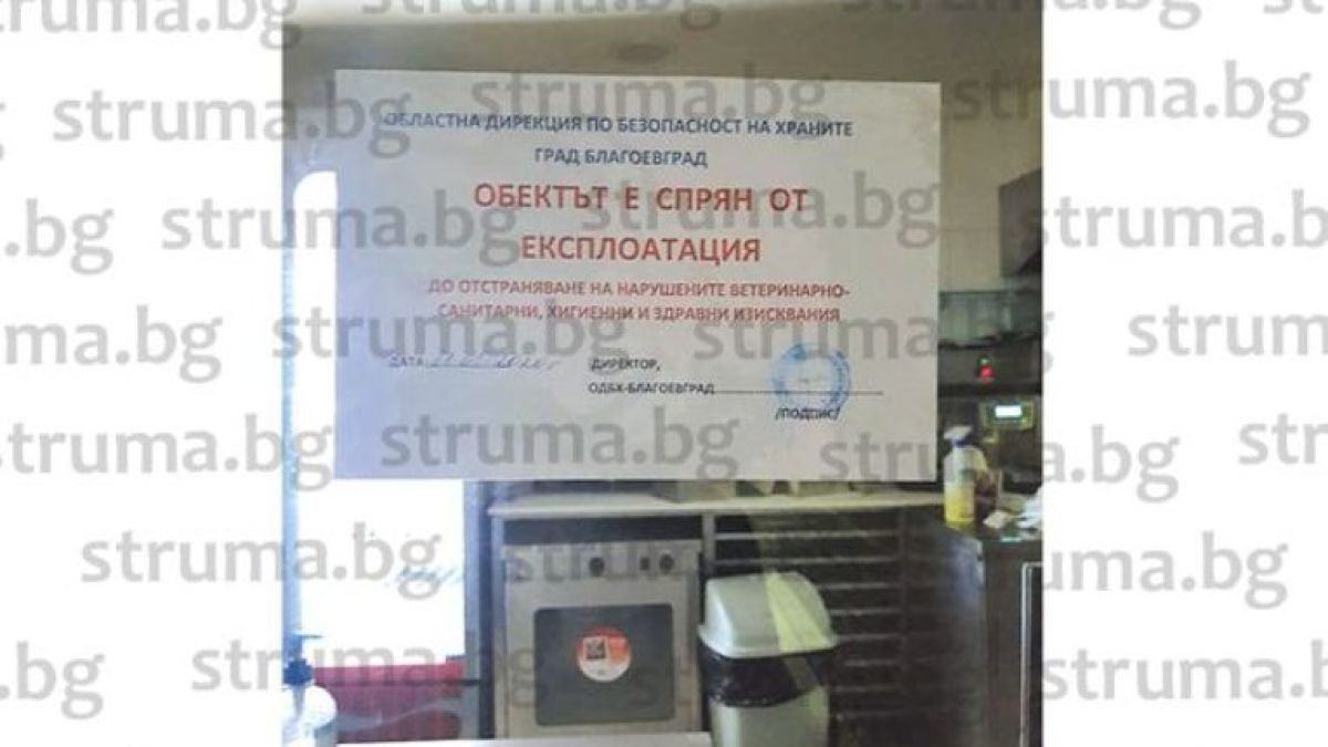 Скандал с една от най-известните дюнерджийници у нас заради хлебарка в сандвича 