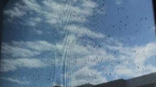 Невиждано явление хвърли в шок и ужас Бургас СНИМКА
