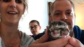 Домашна котка роди котенце с две муцунки ВИДЕО 