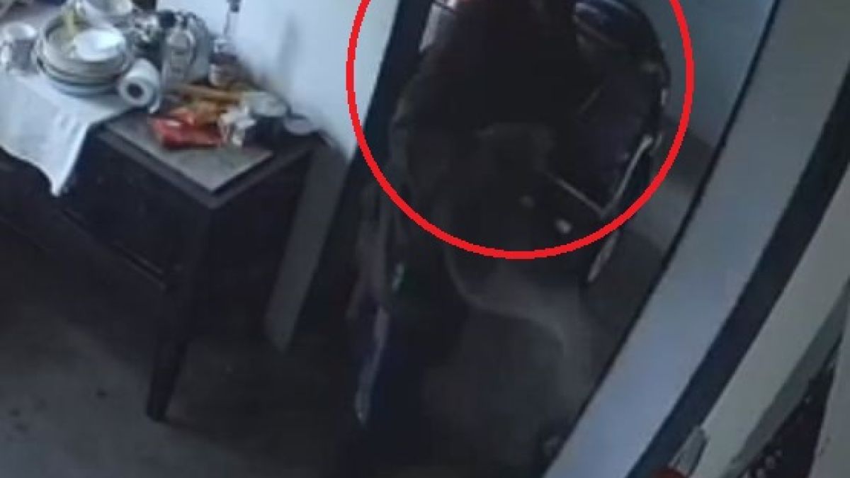 Камера засне уникално тъпа кражба във вилата на софиянец край Монтана ВИДЕО 