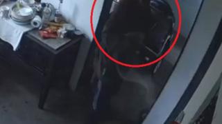 Камера засне уникално тъпа кражба във вилата на софиянец край Монтана ВИДЕО 