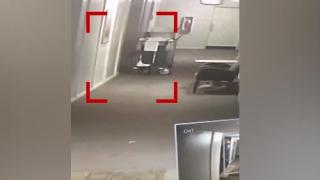 Страховито ВИДЕО: Призрачна фигура излиза от затворен асансьор в хотел