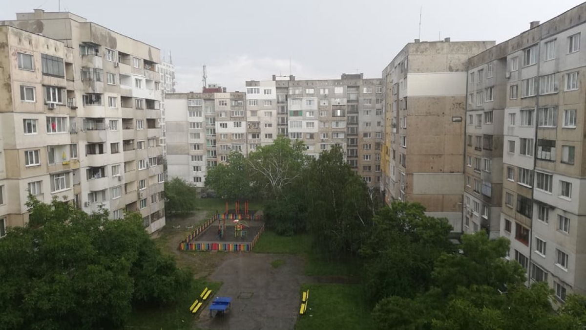 Страшен порой удави София СНИМКИ
