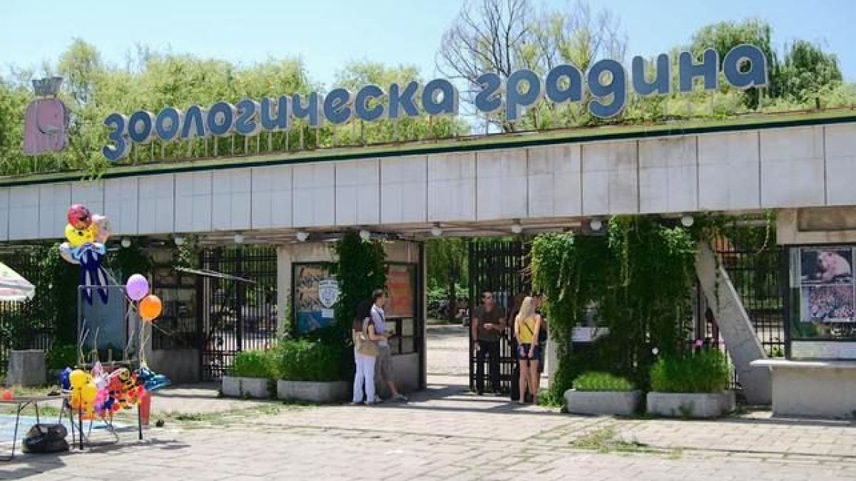 Столичната зоологическа градина с вход свободен за Деня на детето