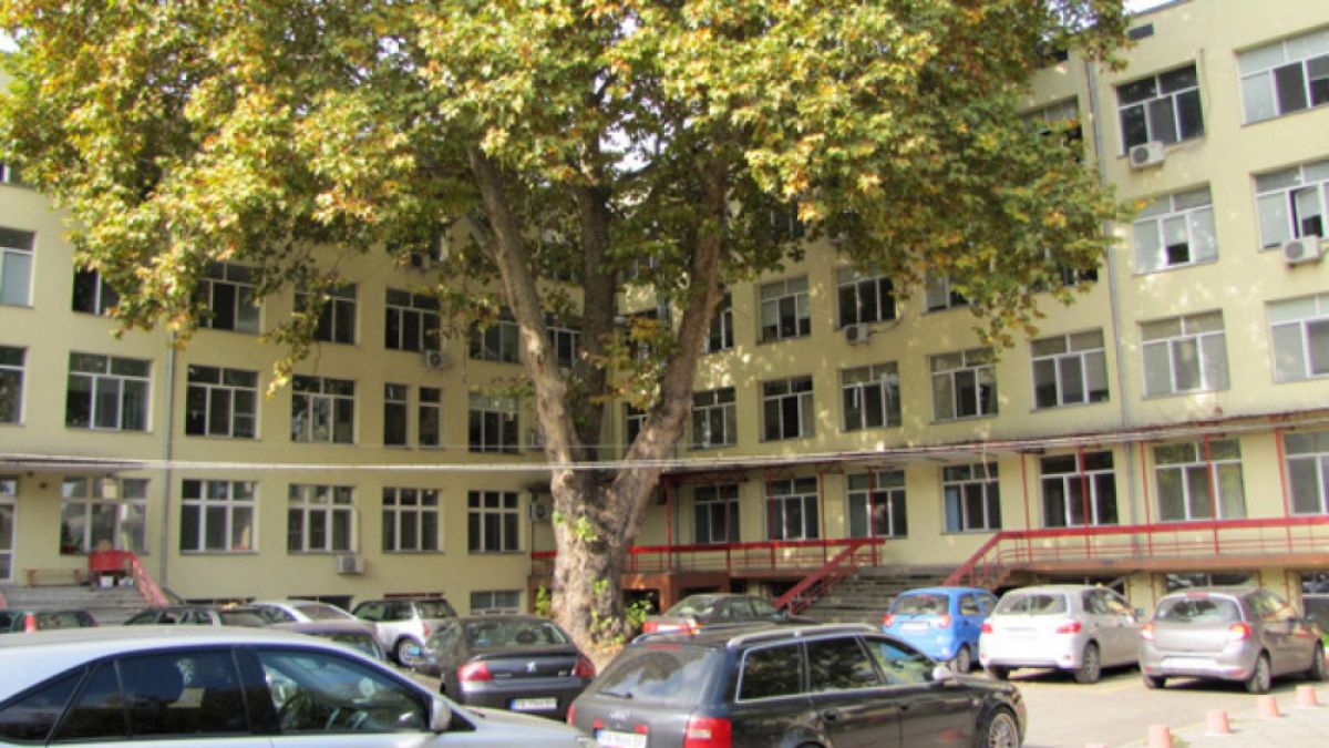 Лекар от Пазарджик върна от смъртта жена, припаднала на стълбите в болницата 