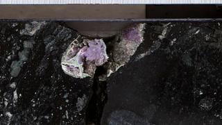 Учени със сензационно откритие в Йелоустоун за появата на живота на Земята 