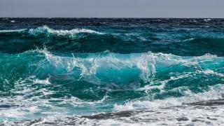 Рибарите от Царево: Морето ври от паламуд!
