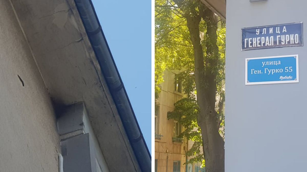 Ужас! Пчели-убийци нахапаха дете в центъра на Бургас
