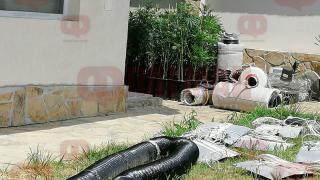 Първи СНИМКИ от огромната наркооранжерия в Черноморец