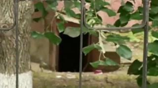 Голямото село: Диви животни се настаниха в мазето на столично училище ВИДЕО