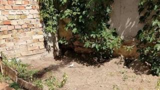 Невероятен феномен изуми хората в наш курортен град СНИМКИ 