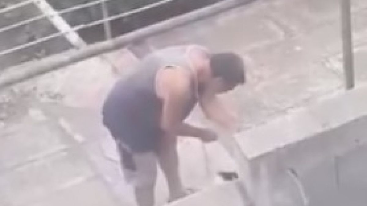 Потресаващо! След пенсионерите, убили котка, друг садист шокира страната ВИДЕО 18+ 