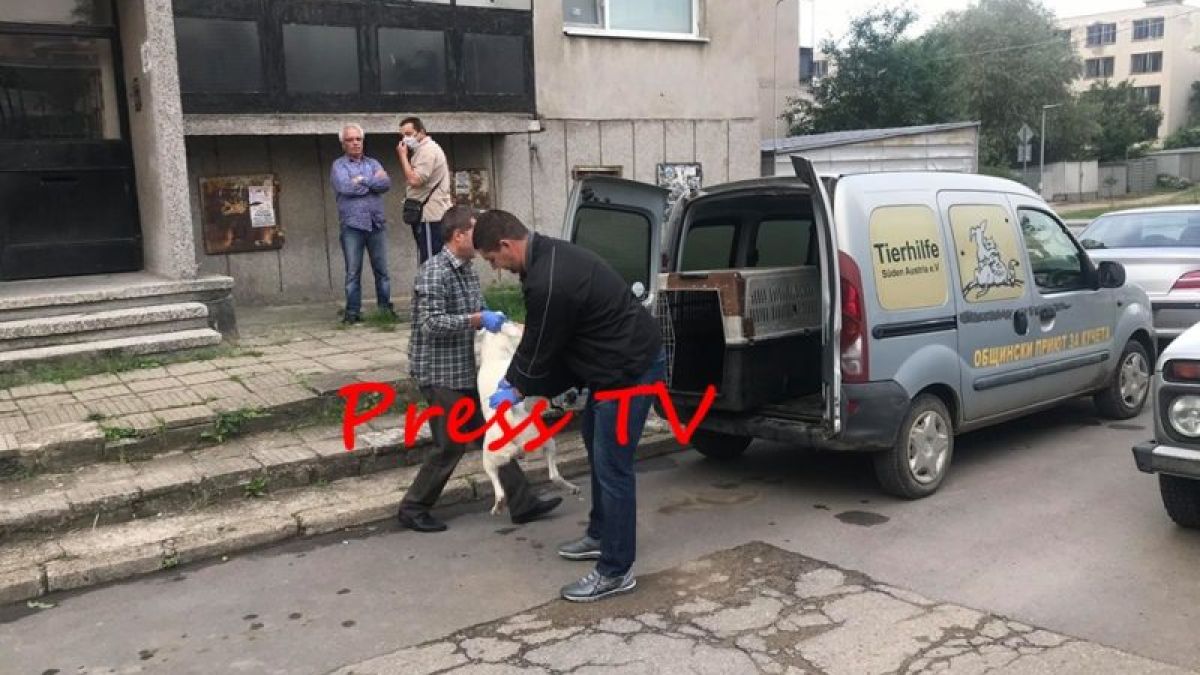Смразяващи кръвта подробности за двата трупа в Казанлък! От зловещия апартамент изведоха... СНИМКИ