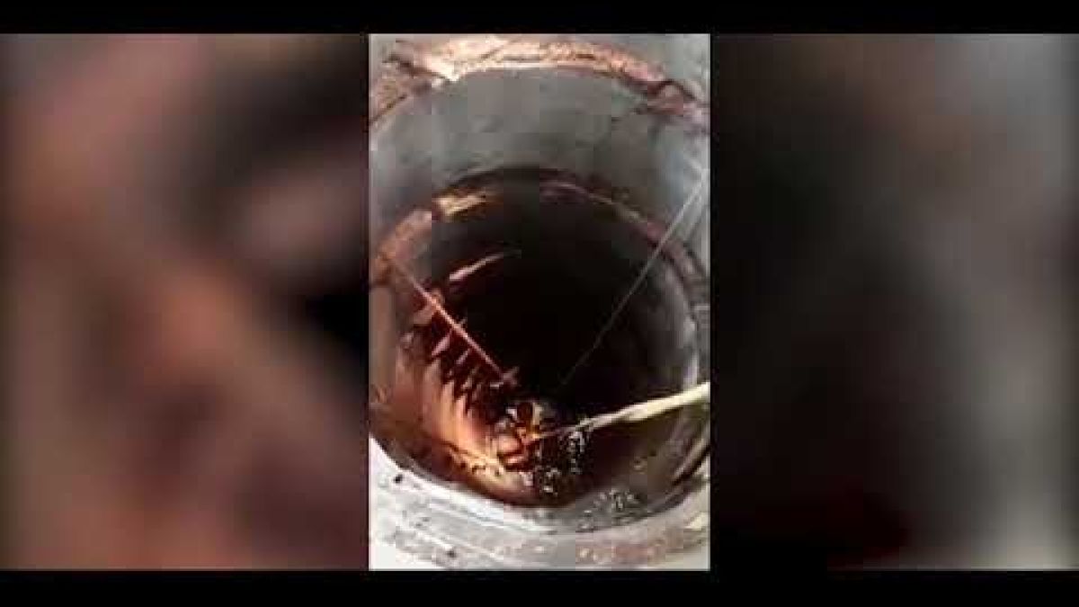 Професор спаси котка от дълбок кладенец, падна и се случи чудо ВИДЕО