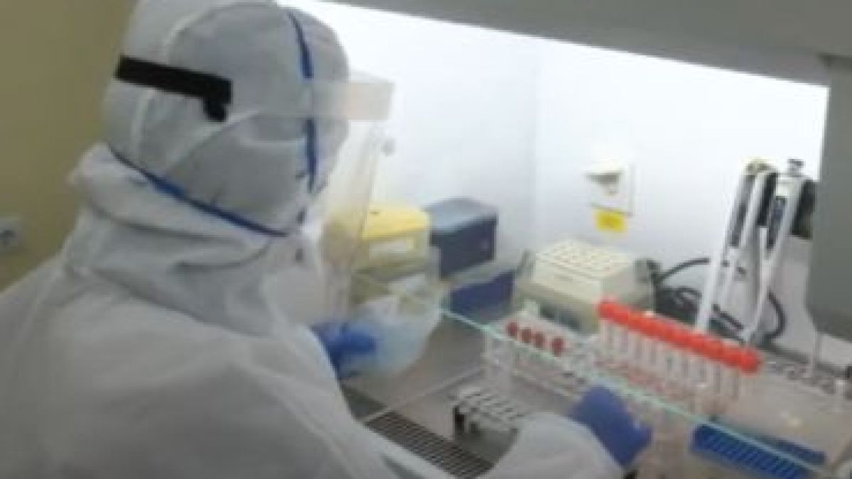 Пробив: Българи на крачка от откриването на молекулата за лечение на COVID-19