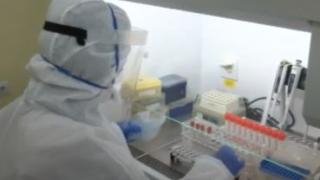 Пробив: Българи на крачка от откриването на молекулата за лечение на COVID-19