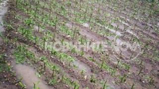 Такава стихия край Сатовча още не е имало ВИДЕО 