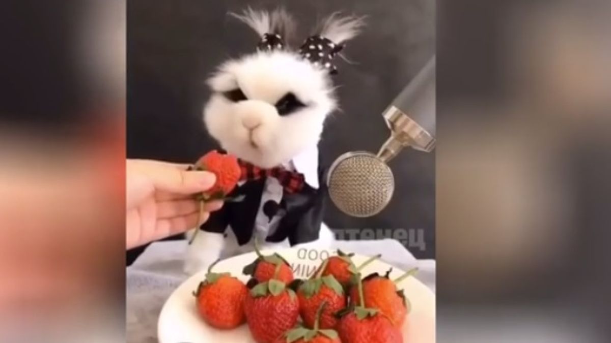 Пухкаво мляскащо зайче взриви мрежата ВИДЕО 