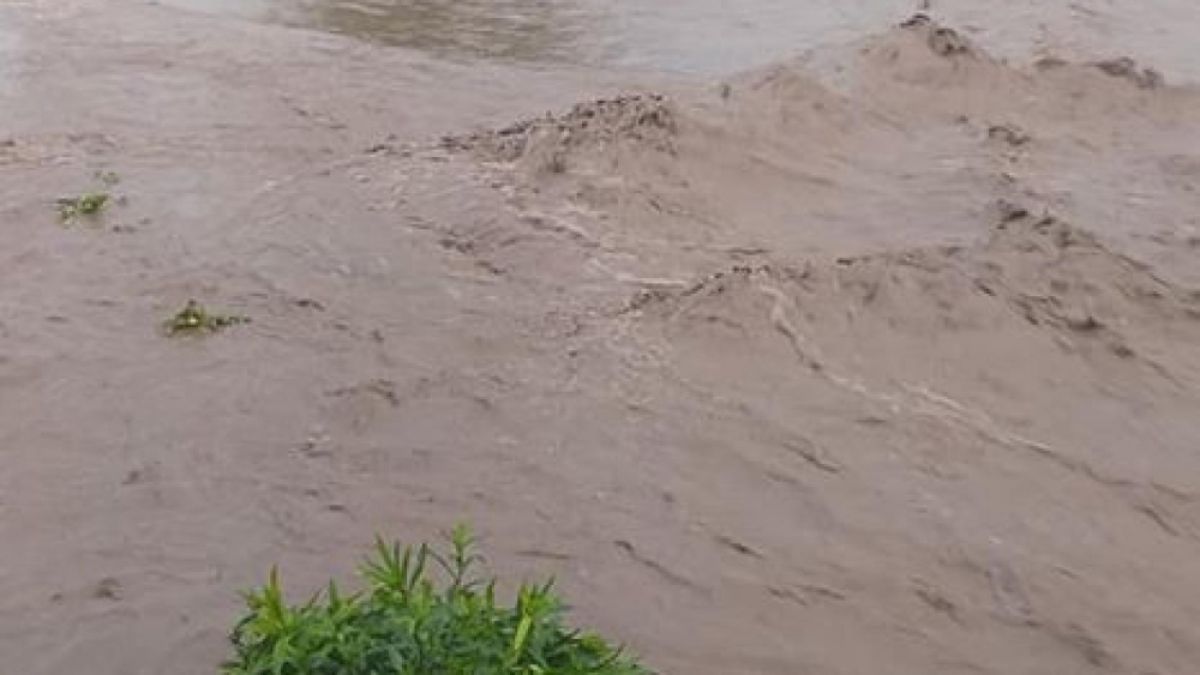  Бедствие, невиждано от 40 години, връхлетя Добричко, всичко е под вода СНИМКИ