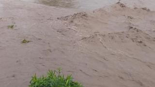  Бедствие, невиждано от 40 години, връхлетя Добричко, всичко е под вода СНИМКИ