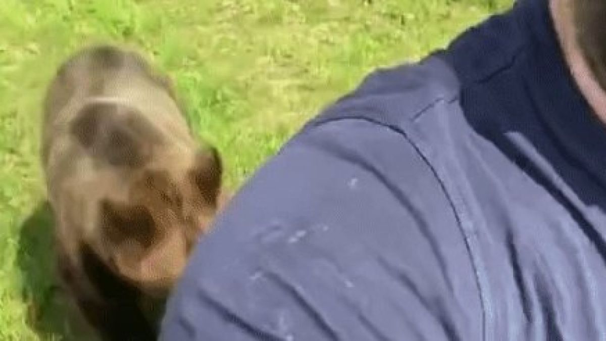 Младеж записа зловещо ВИДЕО с мечка в гората