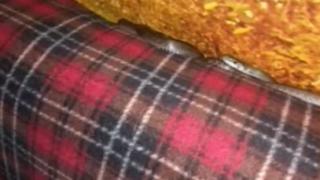 Пълен шаш: 1-метров смок се настани в апартамент в столичен блок ВИДЕО 