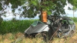 Колата ковчег, в която загина младеж във Видинско, се оказа на майката на депутат от... СНИМКИ 