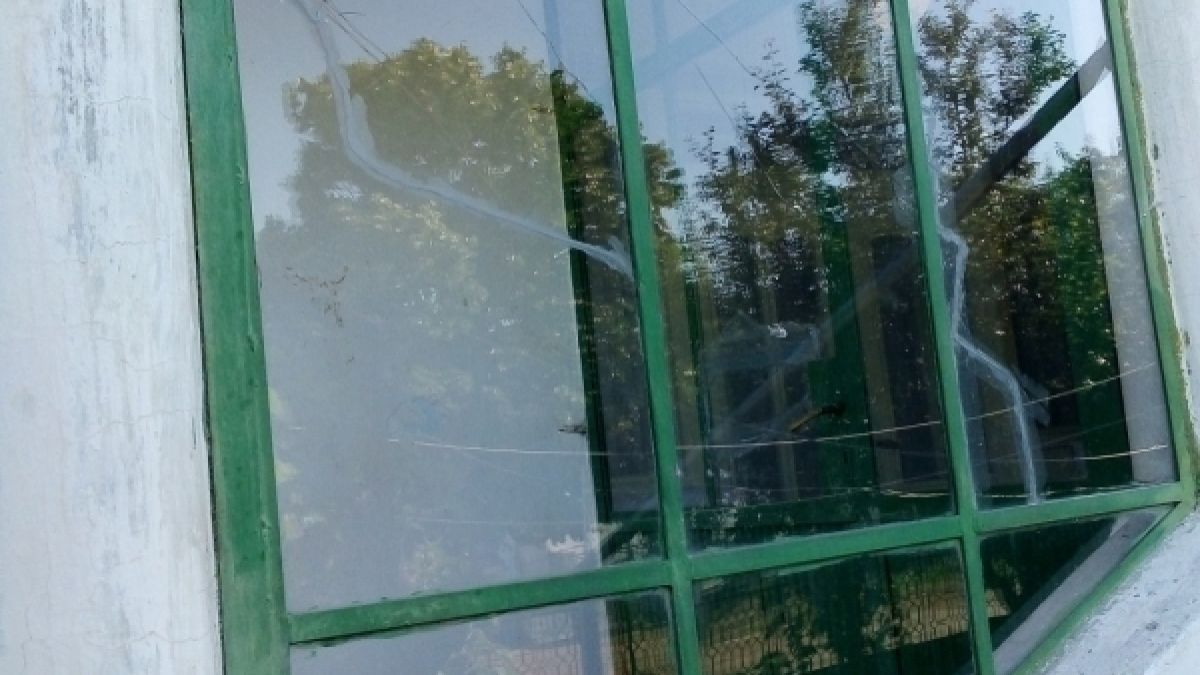 Луди и агресивни близнаци тровят живота на видинското село Градец СНИМКИ