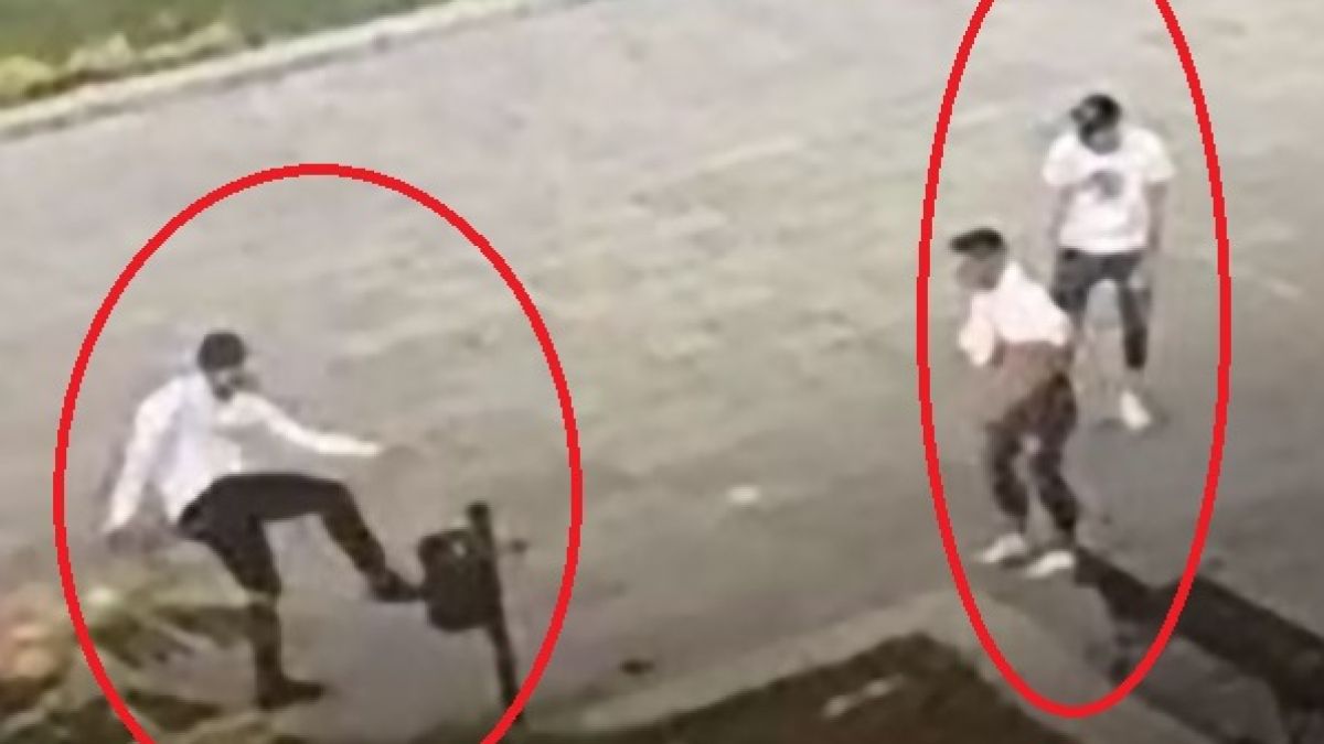 Няма по-големи простаци от пияни млади русенци! ВИДЕО