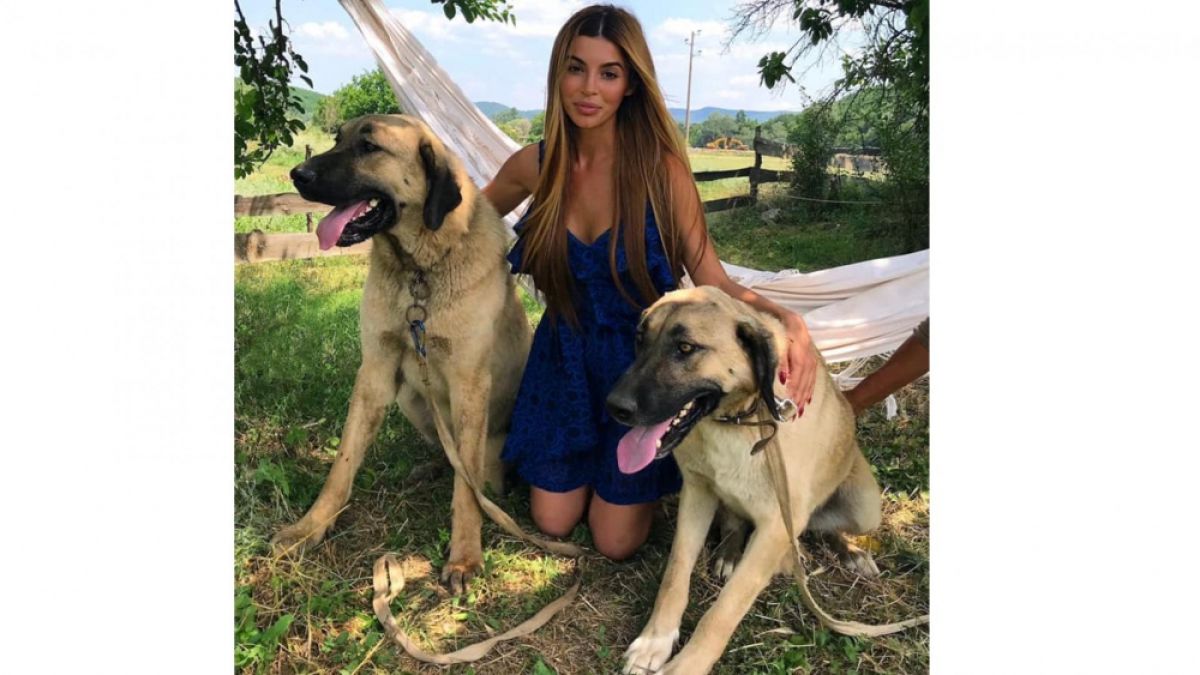 Мегз този път се захвана с кучета СНИМКА