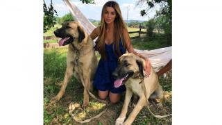 Мегз този път се захвана с кучета СНИМКА