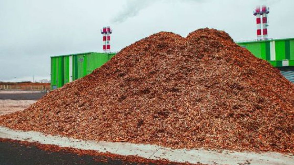 Биомасата - бъдеще за производителите на енергия в България