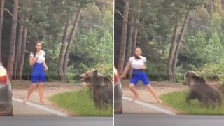 Момиче реши да се снима с дива мечка и почти й стана обяд ВИДЕО