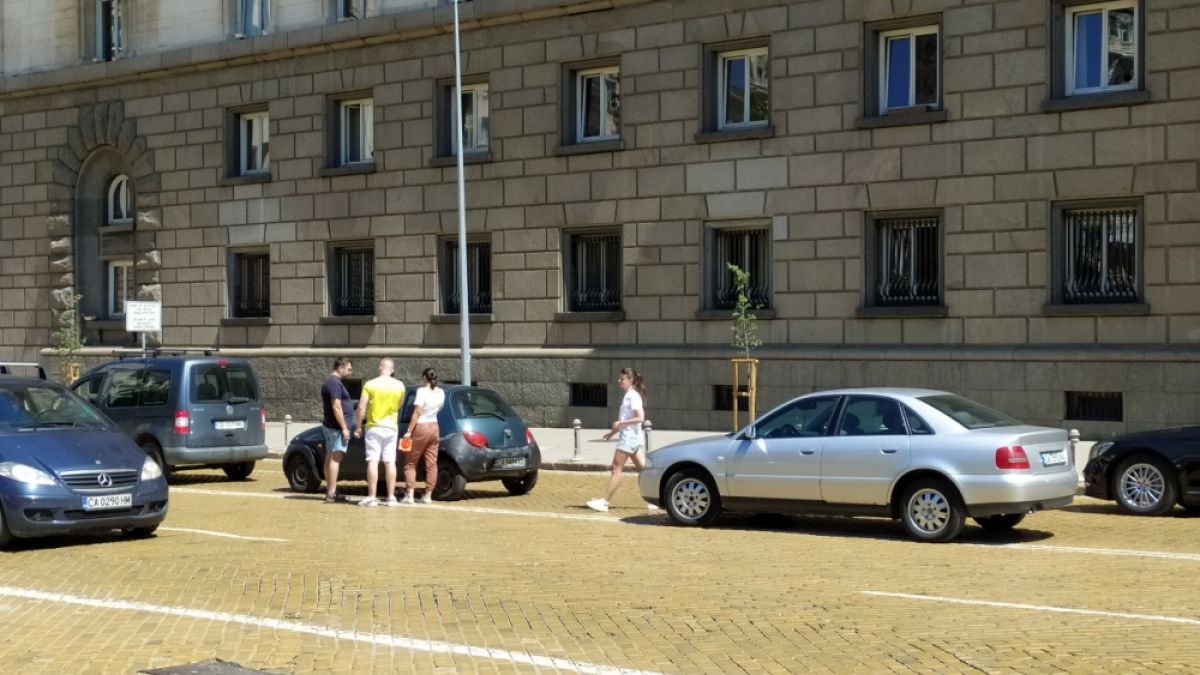 Първо в БЛИЦ! Меле пред президентството СНИМКИ