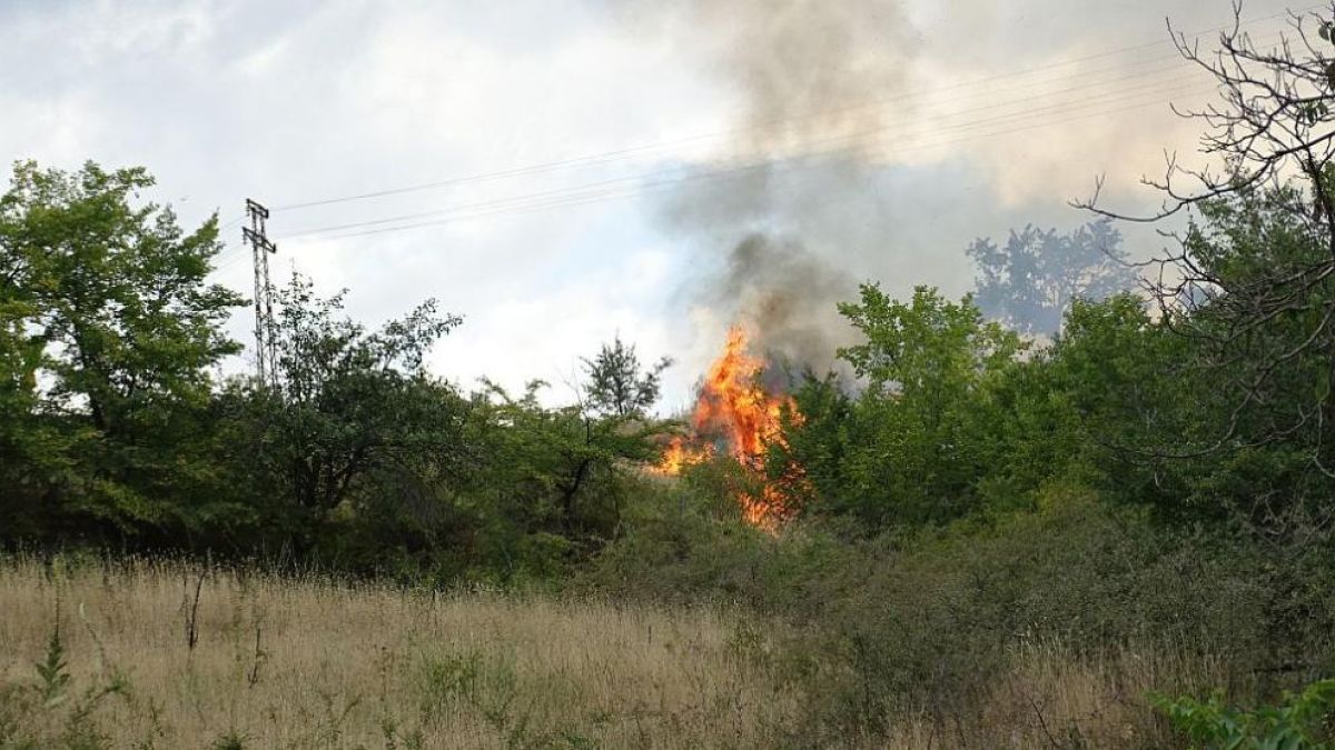 Пожар избухна край Благоевград СНИМКИ