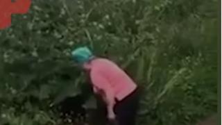 Пенсионерка бие двойка, правеща секс в храстите до дома й 