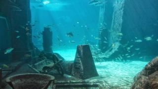 Колосално 20-метрово цунами погубило 12 000 души за миг в Англия 