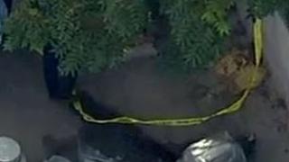 СНИМКИ 18+ от второ ужасяващо убийство, смразило Ню Йорк ВИДЕО 