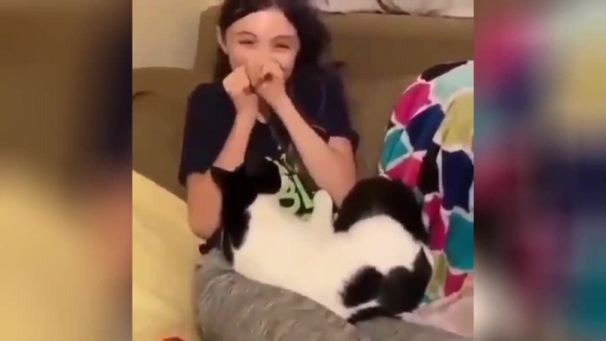 Котка възхити мрежата със своята любвеобилност ВИДЕО