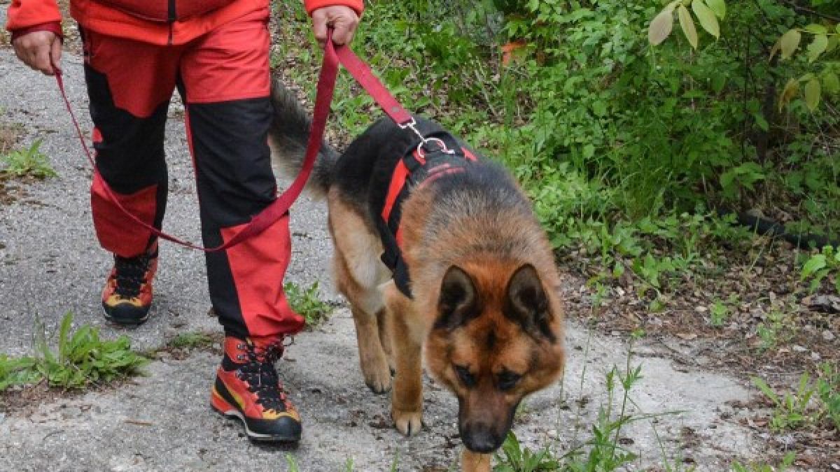 Голяма драма с иманяр в Стара планина