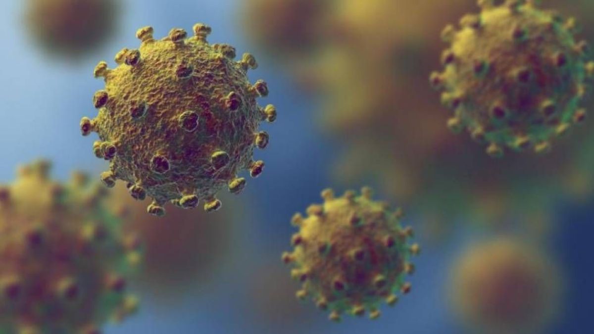 СЗО с много мрачно предупреждение за COVID-19 и самоизолацията 