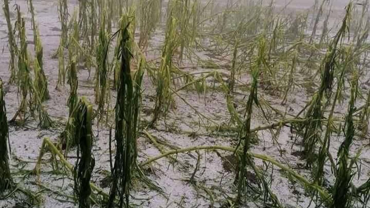 Невиждана стихия удари Румъния, всичко побеля ВИДЕО