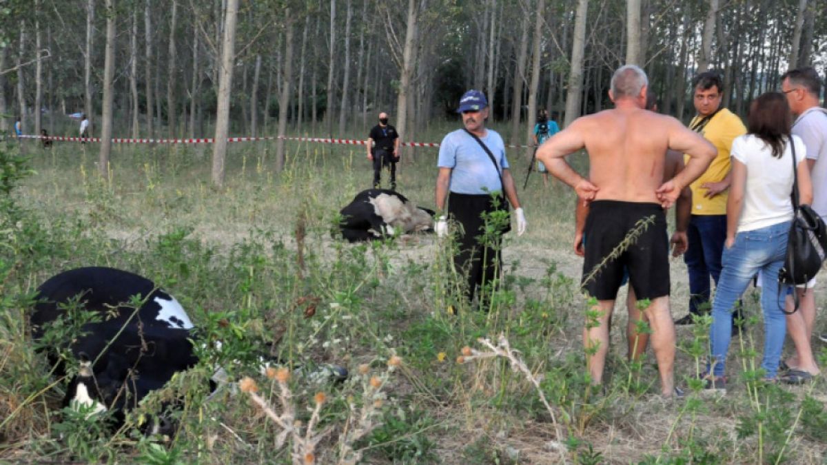 Продължава разследването за замърсяването на Марица