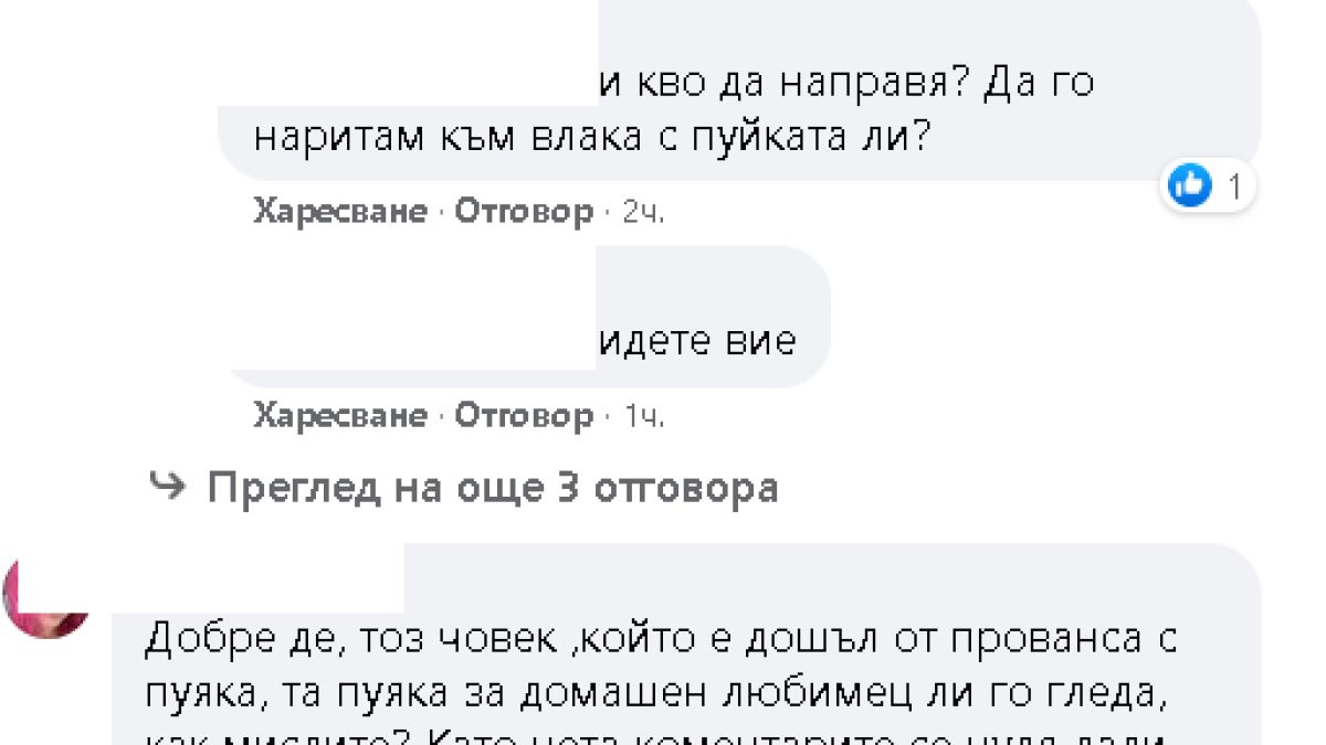 Протестиращите се хванаха за гушите заради... мисирка 