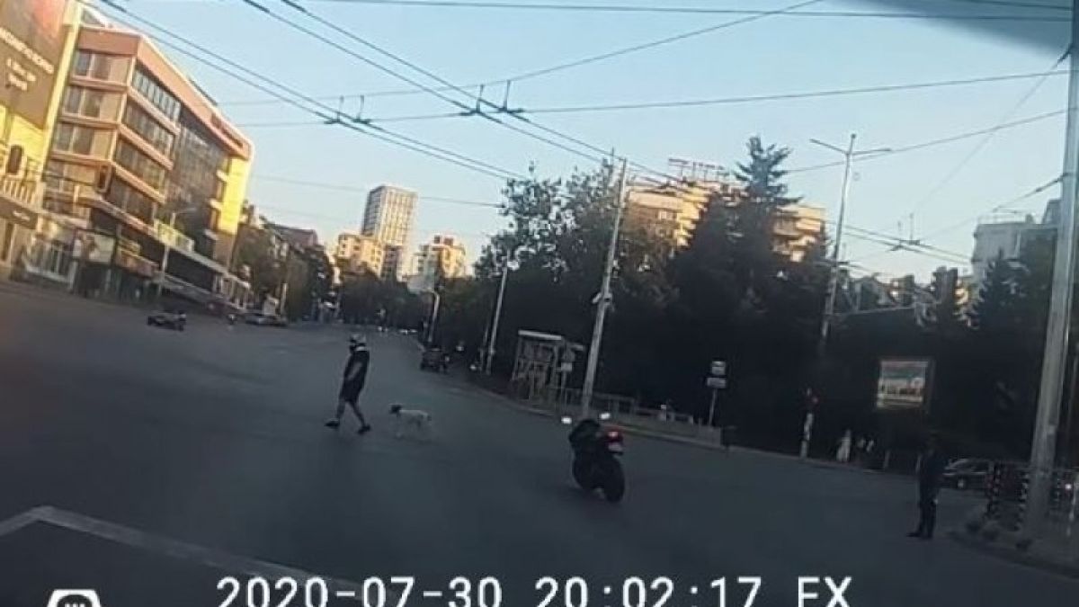 Цялата мрежа говори за постъпката на този моторджия на оживен булевард в София ВИДЕО